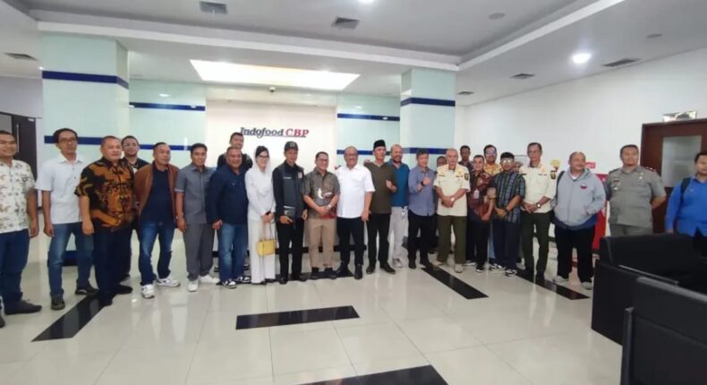 foto slider headline