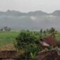 Oplus_131072